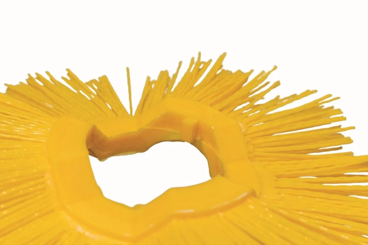 Disques de brossage pour brosse Easyswing
